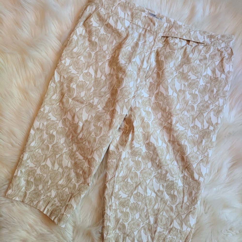 IZOD Womens Short Size 12